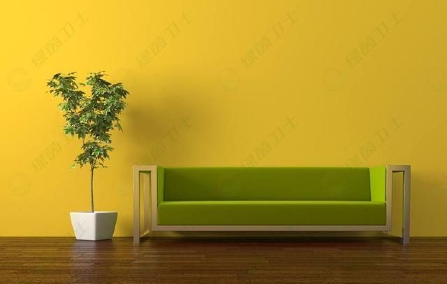 「甲醛中毒吃什么來解毒」專業(yè)正規(guī)的甲醛去除公司可靠嗎？